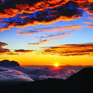 photography beautiful sunrise with flowers photography beautiful sunrise with flowers